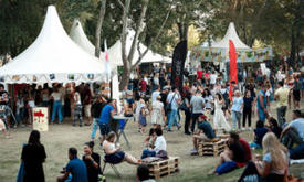 Аренда оборудования для фестивалей и концертных площадок